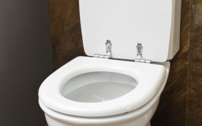 5 Common Low Flow Toilet Problems and How to Fix Them