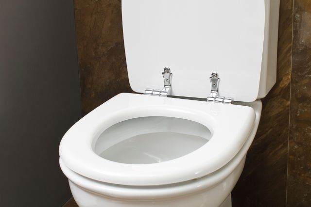 5 Common Low Flow Toilet Problems and How to Fix Them