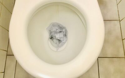 Can a Toilet Unclog Itself?