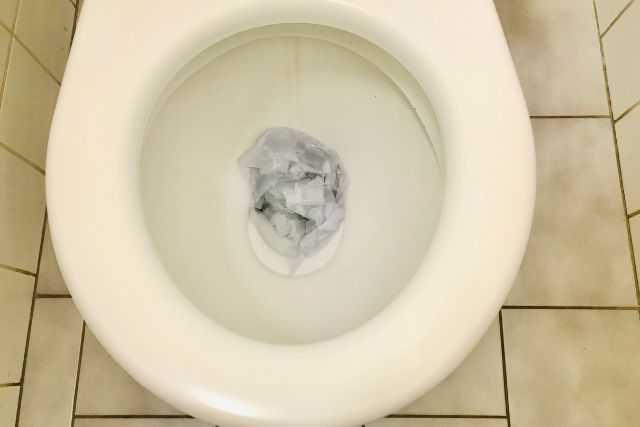 Can a Toilet Unclog Itself?
